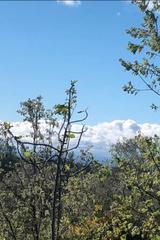 Residential Plot in Cuacos de Yuste