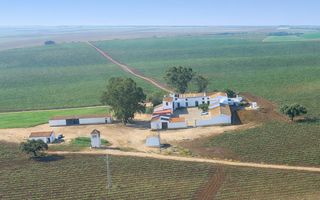 Bauernhof in Las Vaguadas