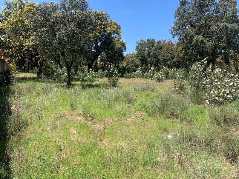 Foto 1170d6b3-ad9f-4319-a6ac-cec41e48ecc6. Terreny residencial a Navalquejigo-Los Arroyos Escorial (El)