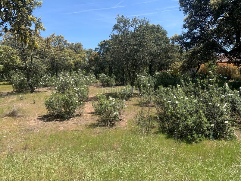 Foto 3edb6cd6-4486-426c-9cc6-131ad820756b. Terreny residencial a Navalquejigo-Los Arroyos Escorial (El)