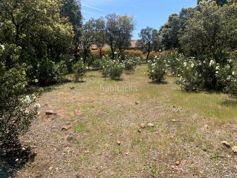 Foto 51161492-fcf0-4561-b4b2-07501d1fd409. Terreny residencial a Navalquejigo-Los Arroyos Escorial (El)