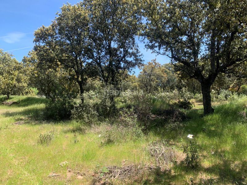 Foto b4d9c40b-2127-43dc-a241-8e52340970d9. Terreny residencial a Navalquejigo-Los Arroyos Escorial (El)