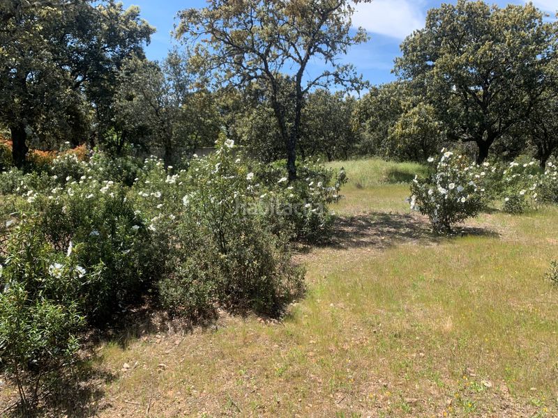 Foto ca821fc8-2522-4900-bc87-28a8e3cba809. Terreny residencial a Navalquejigo-Los Arroyos Escorial (El)