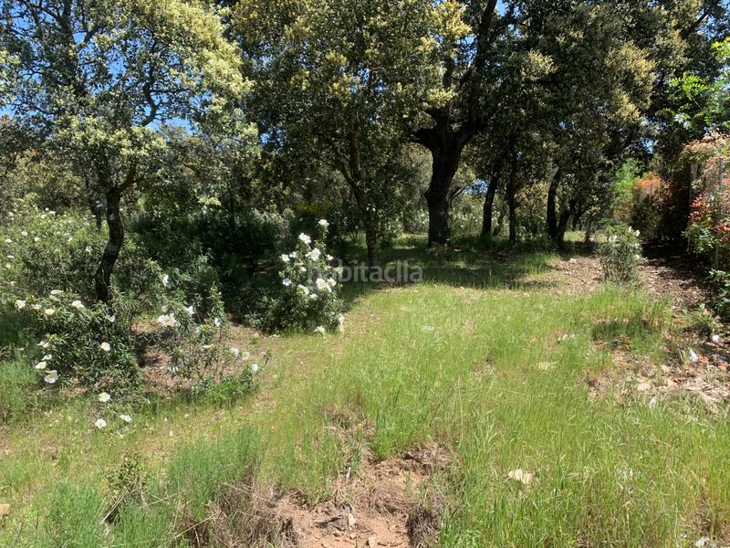 Foto d75eb426-f658-4bea-829a-63a916ecd4b9. Terreny residencial a Navalquejigo-Los Arroyos Escorial (El)