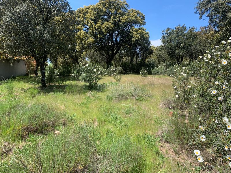 Foto eafe1083-01fc-4c53-ac0b-f5677881b980. Terreny residencial a Navalquejigo-Los Arroyos Escorial (El)