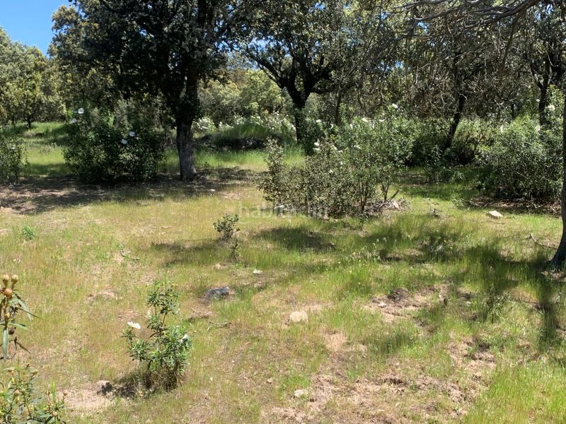 Foto eb08e1f4-f990-441b-b5c6-51fd214c53c6. Terreny residencial a Navalquejigo-Los Arroyos Escorial (El)