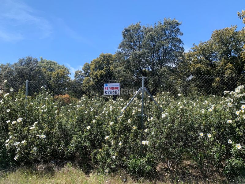 Foto f1735a75-5133-4a36-8bdc-dcb8d8c56ccd. Terreny residencial a Navalquejigo-Los Arroyos Escorial (El)