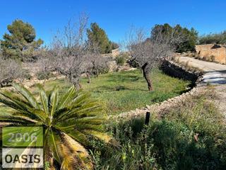 Country house in L´Ametlla de Mar. Gran finca rustica 6 hectareas a 900m de la playa