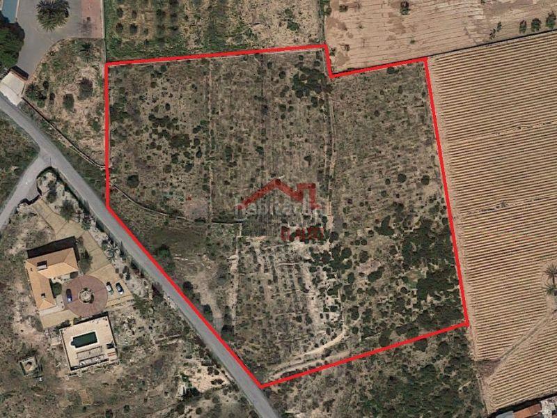 Foto d93d22b7-ad12-4b89-b474-4c787b149669. Rural plot in calle cofrentes 33 in Los Arenales del Sol Elche / Elx