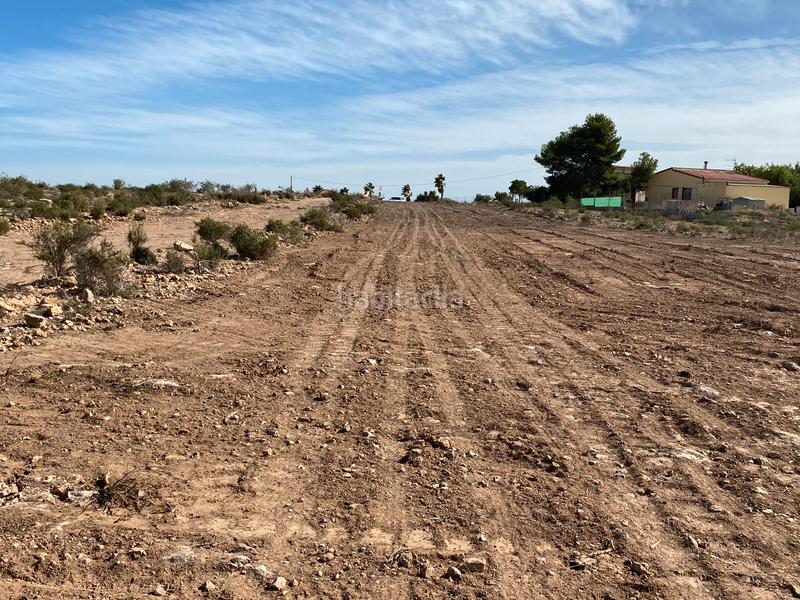 Foto 0f50882e-194e-4a7f-a946-68bdc69e12bf. Propriété dans El Altet Elche / Elx