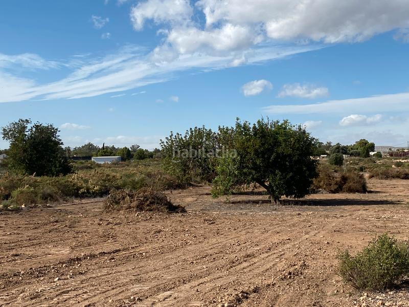 Foto 14b1c08d-93aa-47b3-956b-24198377fc1b. Propriété dans El Altet Elche / Elx