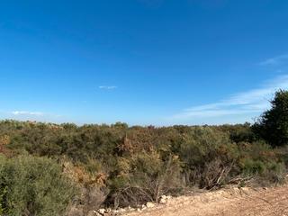 Propriété à El Altet. Terreno venta
