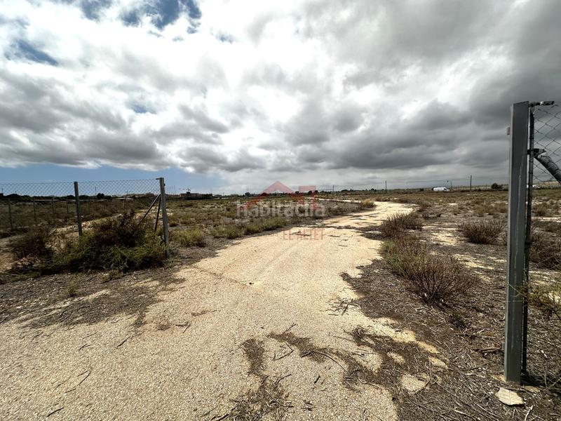 Foto f4a6638d-4d41-4387-8065-58ad8552c622. Alquiler finca rústica terreno en alquiler en El Altet Elche / Elx