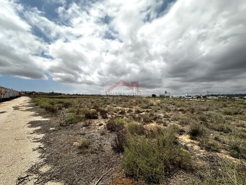 Foto 0a534171-487e-421d-8701-a460663ce6a7. Alquiler finca rústica terreno en alquiler en El Altet Elche / Elx