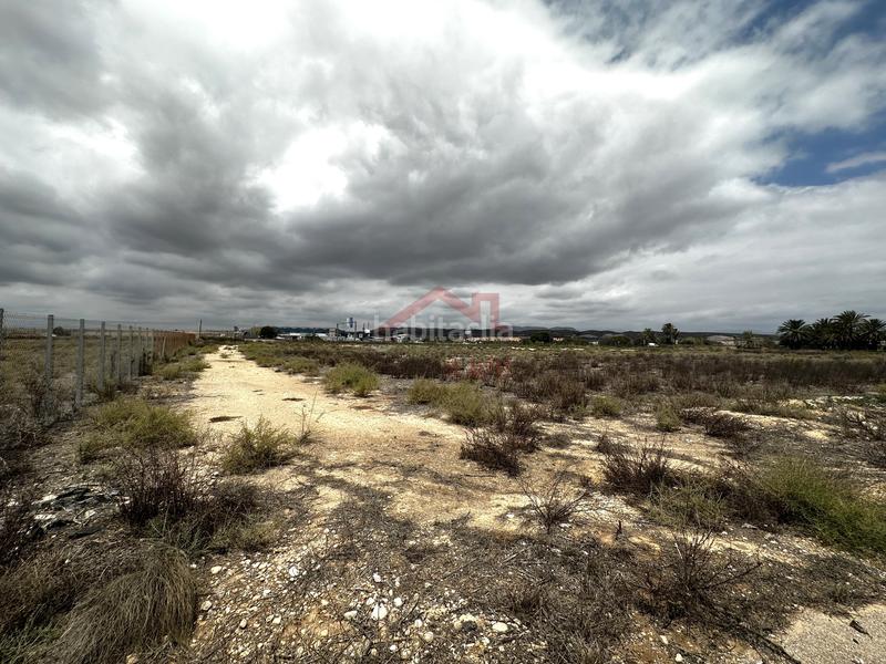 Foto a71d8479-4050-44d1-a30b-74d5611907c1. Alquiler finca rústica terreno en alquiler en El Altet Elche / Elx