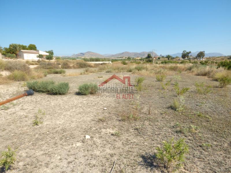 Foto 1e5b5388-5f2e-469c-871b-22a5d53b1dd9. Fondo rustico in Rebolledo Alicante