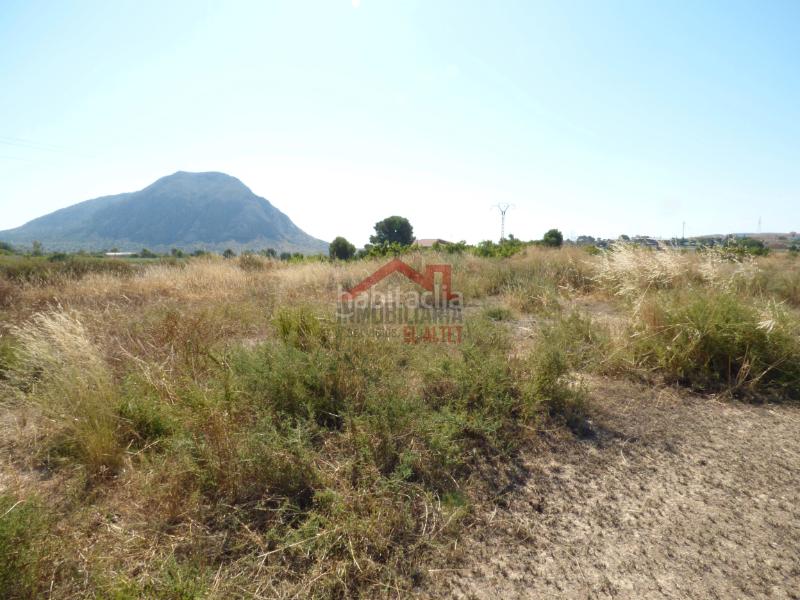 Foto 212f0b4a-c9e5-46a9-830c-4333c6856efe. Fondo rustico in Rebolledo Alicante