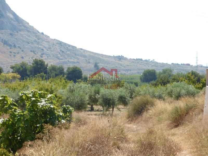 Foto 41317498-8b45-4727-ab37-25098620a6f7. Fondo rustico in Rebolledo Alicante