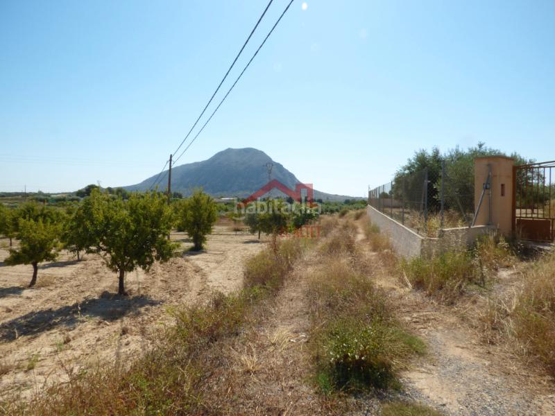 Foto 66a95093-897f-4376-8866-42fffd5d0fa4. Fondo rustico in Rebolledo Alicante