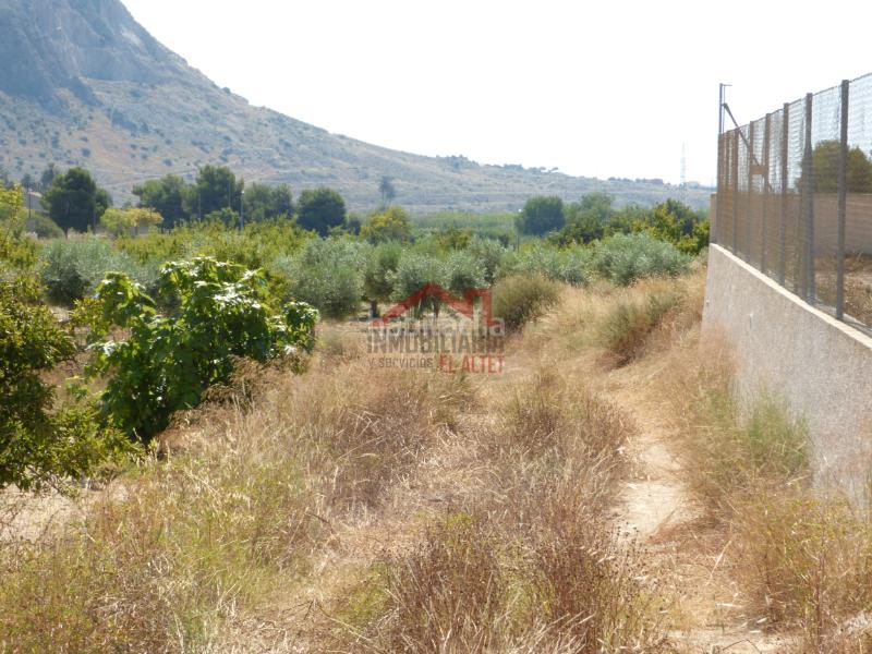 Foto 7157acec-fdb0-4927-89ca-99a49c443953. Fondo rustico in Rebolledo Alicante