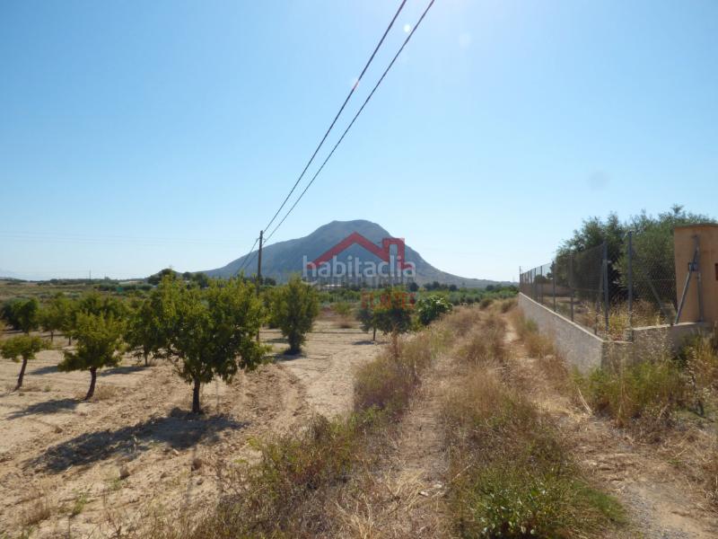 Foto 7b23ee12-839e-47b6-bcd0-9bdf34aad2b0. Fondo rustico in Rebolledo Alicante