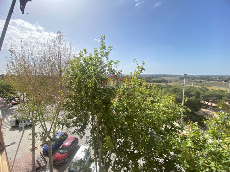 Foto 871246cd-fdef-4b31-979d-e3890b874e7f. Pis a El Altet Elche / Elx