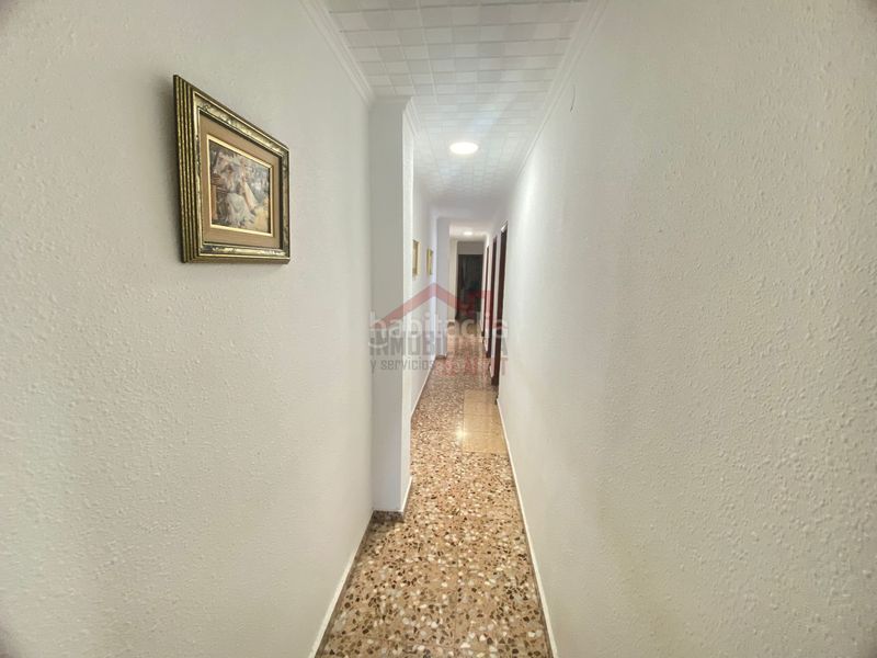 Foto ba5d1125-3fd3-469e-abfc-e7c91045e542. Pis a El Altet Elche / Elx