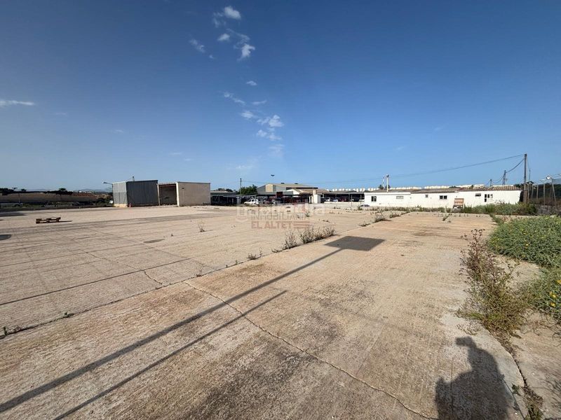 Foto ab07fbb5-5e22-46d6-a202-8f59f8871078. Lloguer finca rústica a El Altet Elche / Elx