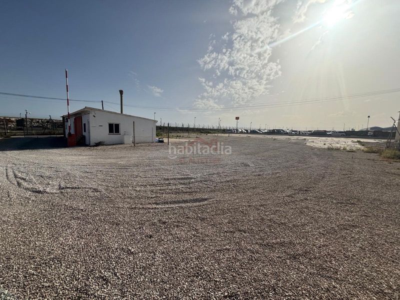 Foto d5c55969-56b1-4c31-a773-5b76fdaef633. Lloguer finca rústica a El Altet Elche / Elx