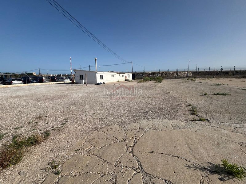 Foto ebd467d6-9542-4e1d-8b89-b5c7f3ad9922. Lloguer finca rústica a El Altet Elche / Elx