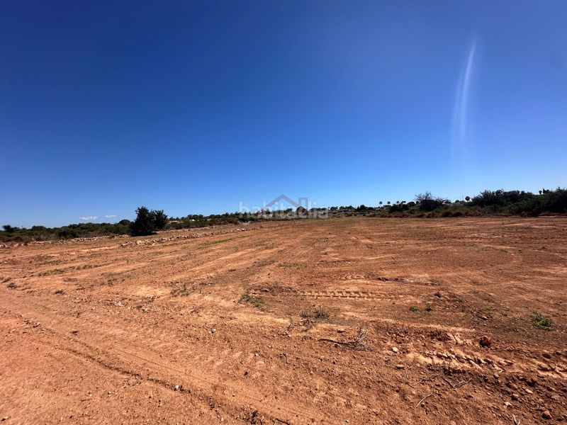 Foto 00b75716-93c0-4bf1-9388-231d5de43705. Finca rústica terreno venta en Los Arenales del Sol Elche / Elx