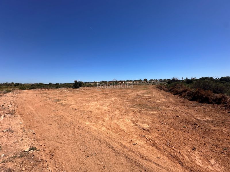 Foto 3c856712-ff9d-490c-9979-5925c666e59d. Finca rústica terreno venta en Los Arenales del Sol Elche / Elx