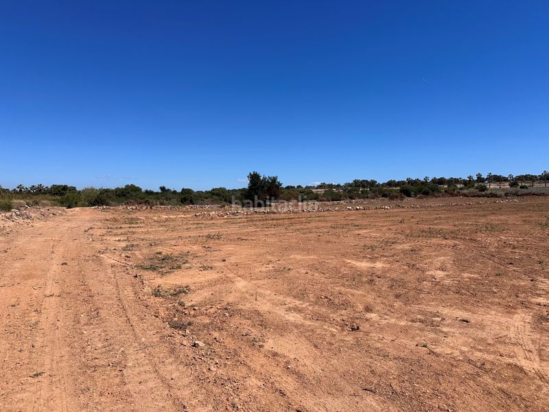 Foto 805507cf-8b05-456d-97d5-cd6fac908d70. Finca rústica terreno venta en Los Arenales del Sol Elche / Elx