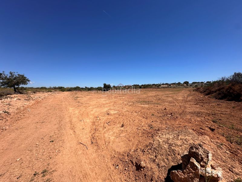 Foto ca333f73-4cf3-4bbd-8a1a-5be682efa6c0. Finca rústica terreno venta en Los Arenales del Sol Elche / Elx