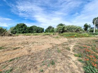 Finca rústica a Palafolls. Venta de finca agrícola en palafolls