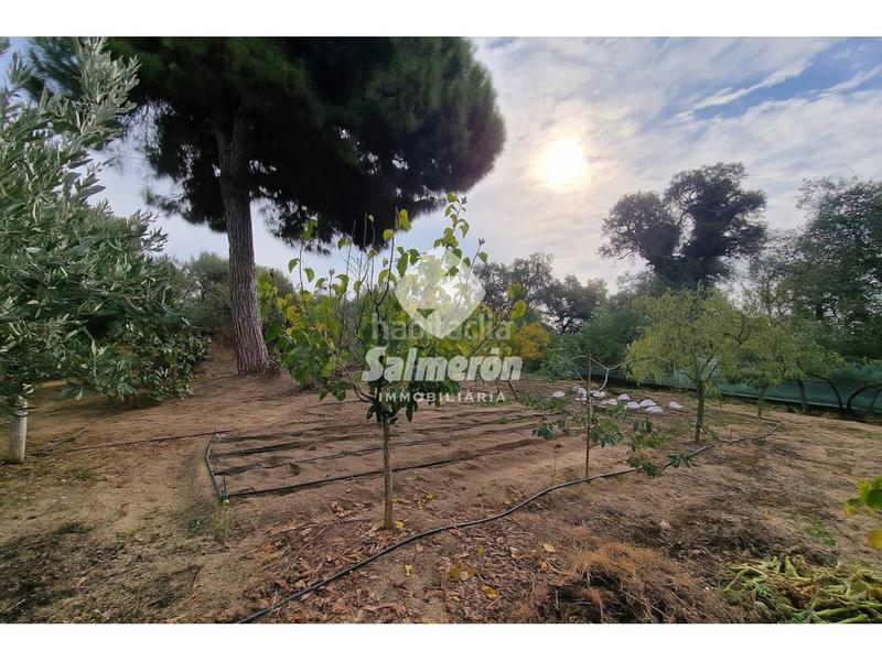 Foto 3a946349-9d95-4ae7-8389-73017abd4296. Terreny residencial a Palafolls