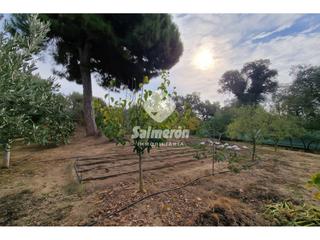 Terreny residencial a Palafolls. Venta de terreno urbano en urbanización de mas carbó, población