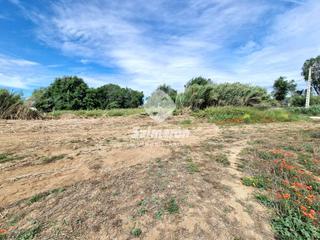 Rent Rural plot in Palafolls. Venta de finca agrícola en palafolls
