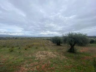 Country house in Villa del Prado. Finca rustica de 17.400 metros muy bien situada