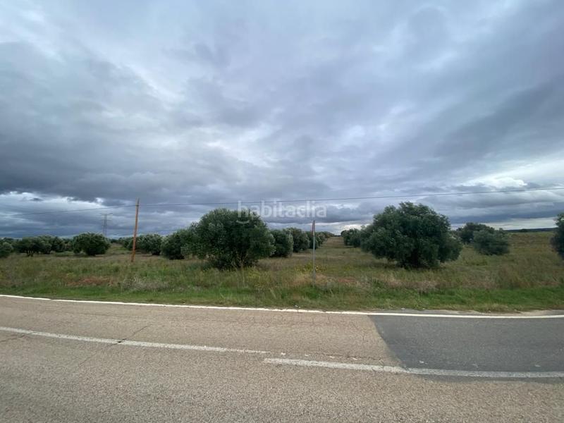 Foto 063c256e-7397-4f63-ac20-69422cf60056. Casale in Villa del Prado