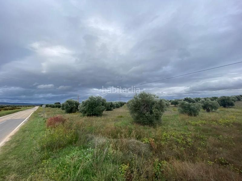 Foto 52f14c64-2a1d-4ef3-9583-926b7a9f2e7e. Casale in Villa del Prado