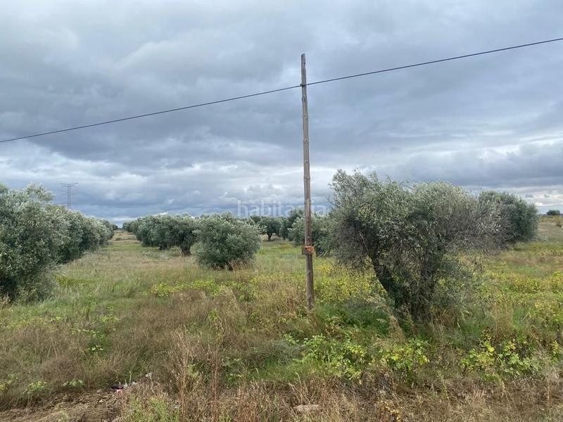 Foto 8e6e3c54-2112-4009-a29c-4488ec653a17. Casale in Villa del Prado