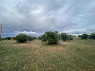 Masia a Villa del Prado. Finca rustica de 41.000 mtrs muy bien situada