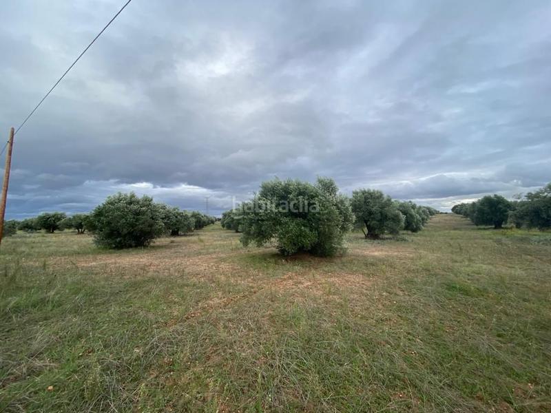 Foto a68805ce-cbe6-437c-8ea9-b59b09f72857. Casale in Villa del Prado