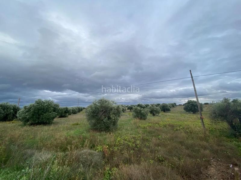 Foto d70ba61b-dc4c-406e-8eaa-15b0298bbc61. Casale in Villa del Prado