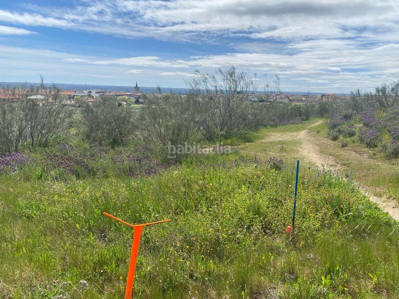 Foto 5e32b627-939d-4687-be2c-d0a34a85cf99. Finca rústica espectacular finca rustica pegada al núcleo urbano en Villa del Prado