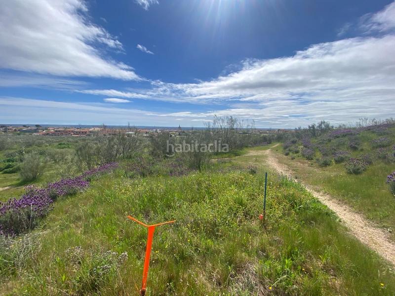 Foto a470d85a-3a15-4ddd-8a2d-0db4e96562c5. Finca rústica espectacular finca rustica pegada al núcleo urbano en Villa del Prado