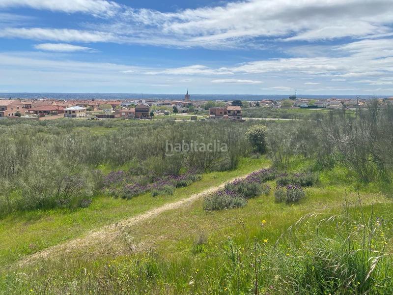 Foto add47d95-8a04-4cfd-a19a-4c18f6683d90. Finca rústica espectacular finca rustica pegada al núcleo urbano en Villa del Prado