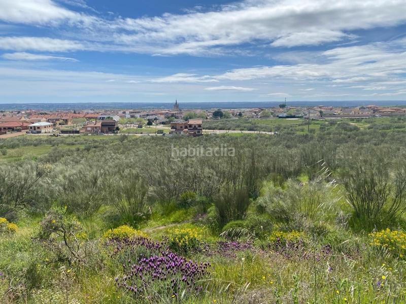Foto b4373b57-8f86-405d-b6aa-b4a5e2982c53. Finca rústica espectacular finca rustica pegada al núcleo urbano en Villa del Prado