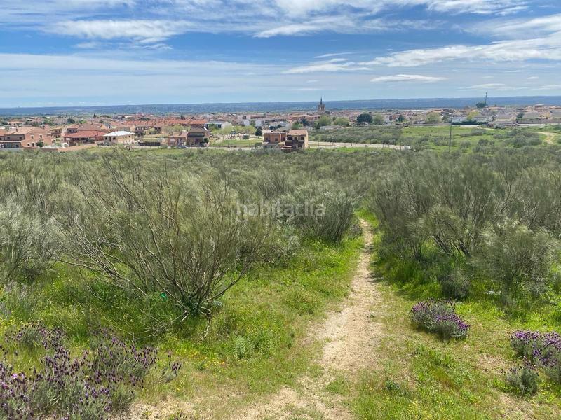 Foto d8776b5f-5ad6-417c-ad79-4ceff1c96684. Finca rústica espectacular finca rustica pegada al núcleo urbano en Villa del Prado
